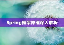 Spring框架原理深入解析