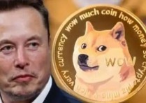 狗狗币一夜暴涨700倍【DOGE封神】