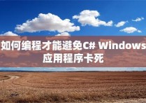 如何编程才能避免C# Windows应用程序卡死