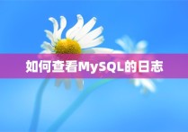 如何查看MySQL的日志