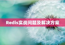 Redis实战问题及解决方案