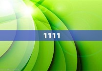 1111